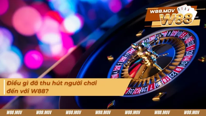 Những điểm thu hút người chơi đến với nhà cái