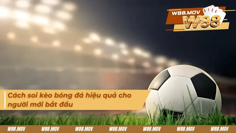 Tips soi kèo bóng đá dành cho người mới tối ưu nhất